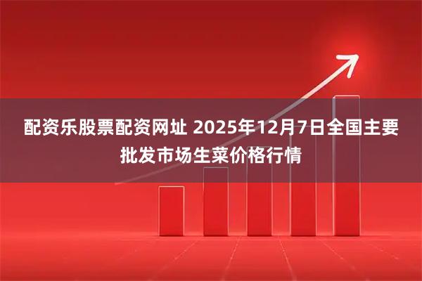 配资乐股票配资网址 2025年12月7日全国主要批发市场生菜价格行情